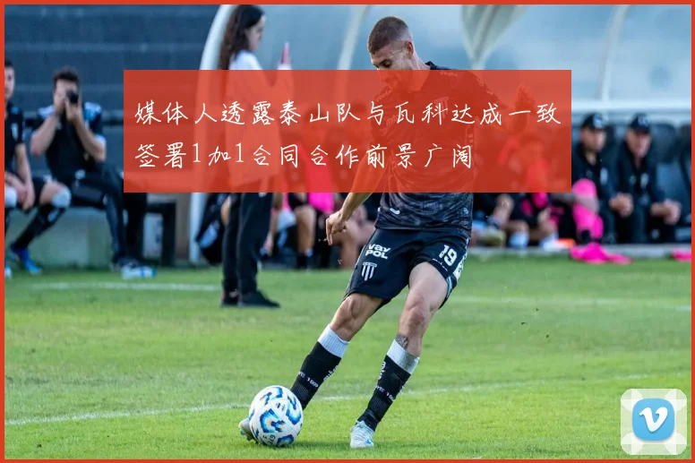 媒体人透露泰山队与瓦科达成一致签署1加1合同合作前景广阔